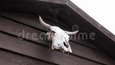 牛的头骨挂在木门上